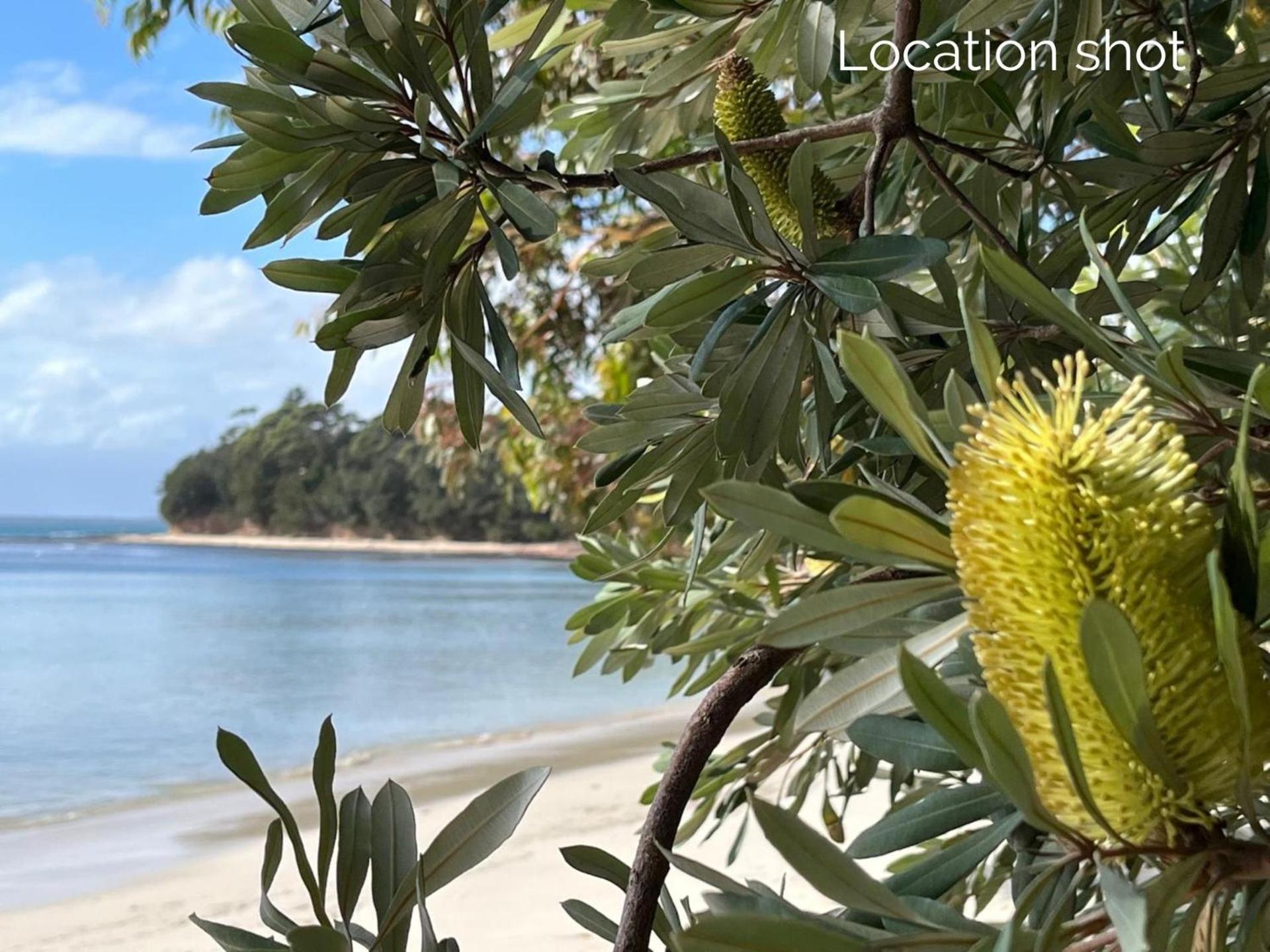 Апартаменти Banksia On Blenheim By Experience Jervis Bay Вінсентія Екстер'єр фото